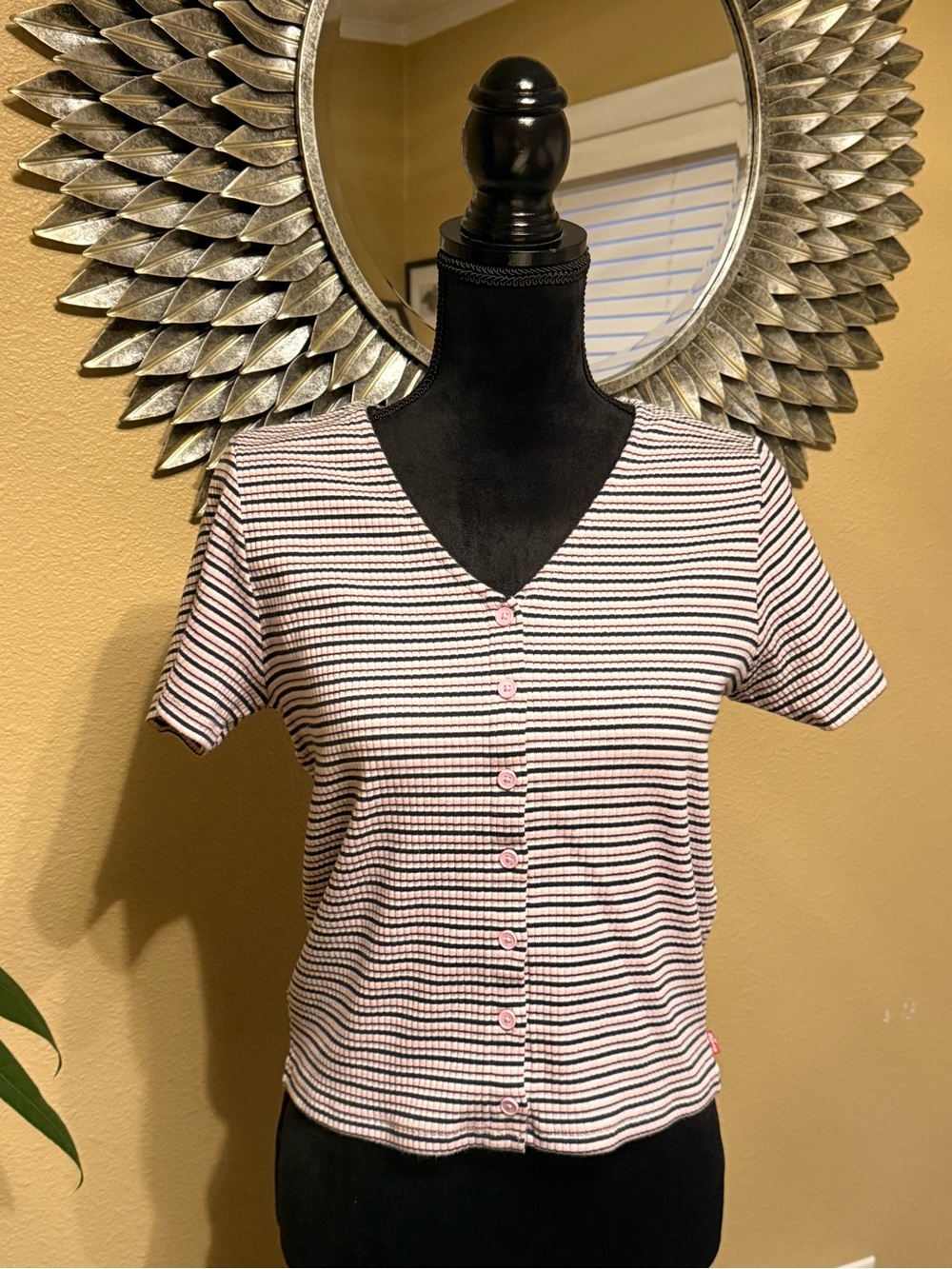 Levi’s Striped V-Neck Button Front Top in Pink and Black